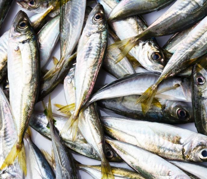 Сдам Дом У Моря 敖德萨 外观 照片